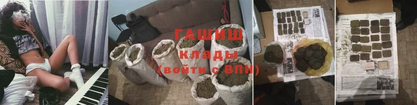 PSILOCYBIN Беломорск