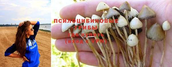 PSILOCYBIN Беломорск