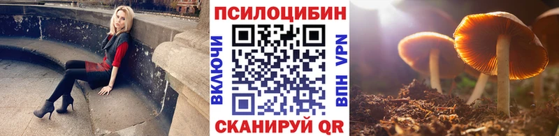 Галлюциногенные грибы GOLDEN TEACHER  дарнет шоп  Усть-Лабинск 